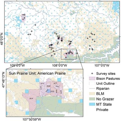 Bison Reintroduction to Mixed-Grass Prairie Is Associated With Increases in Bird Diversity and Cervid Occupancy in Riparian Areas